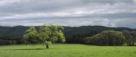 Capay Valley