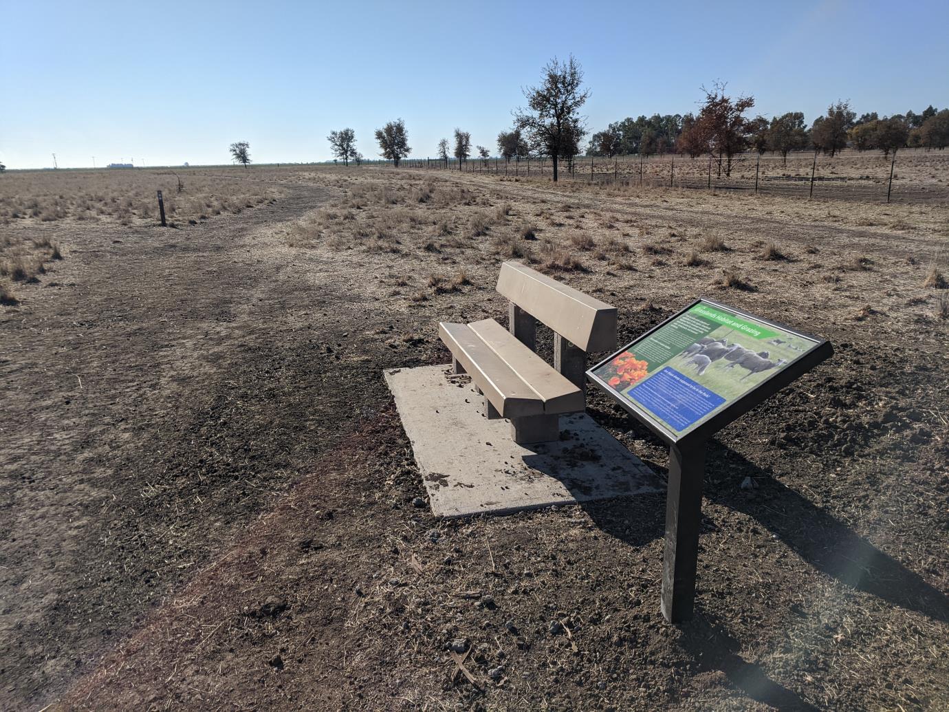 Bench along trail