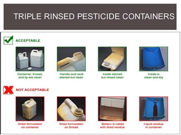 Triple Rinsed Pesticide Containers 2021