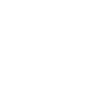 home inspection icon