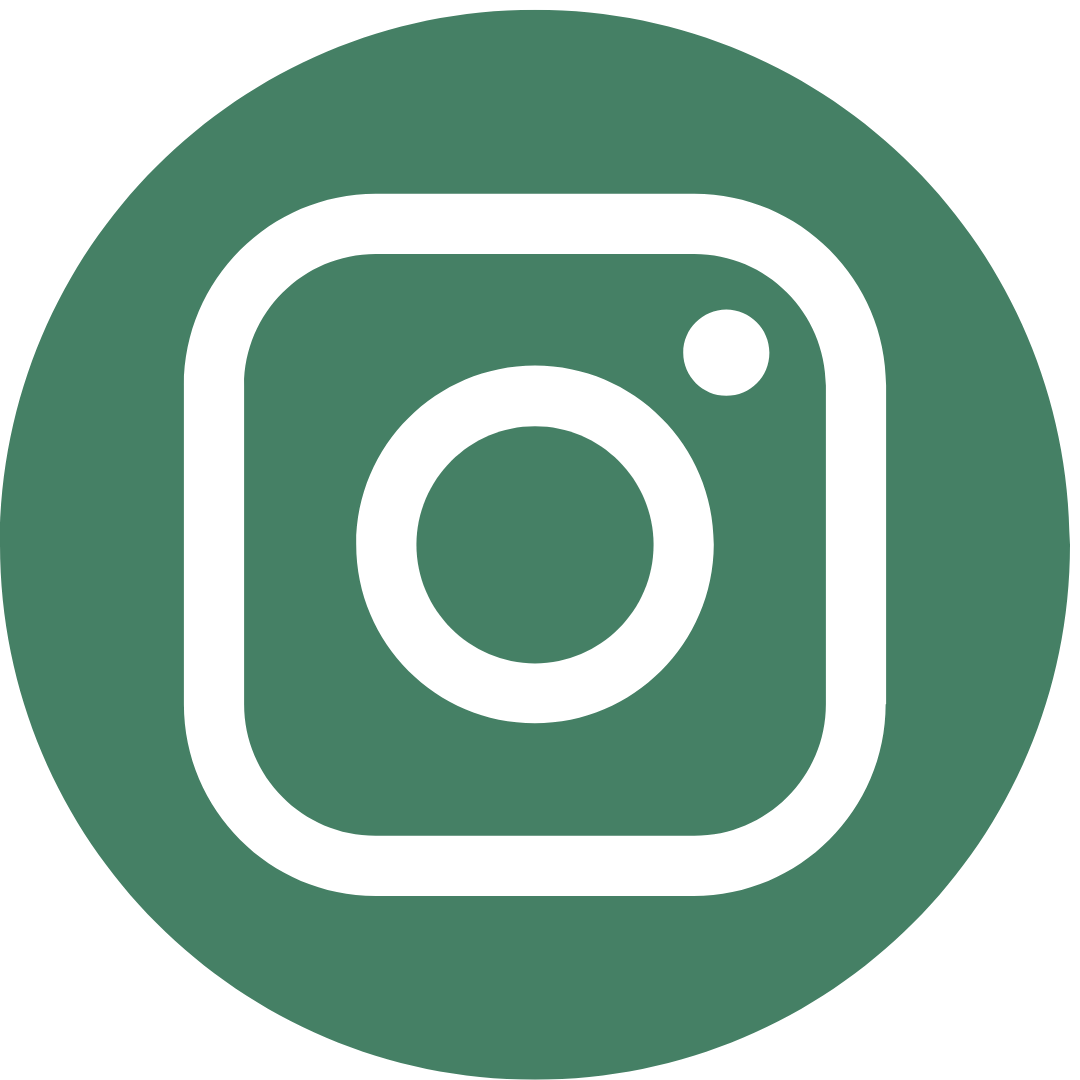 Instagram Icon