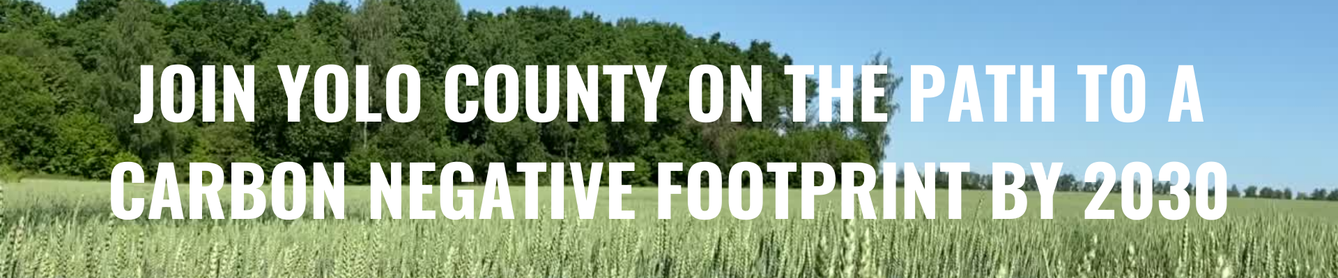 Join Yolo County on the Path to a Carbon Negative Footprint by 2030 Header Image