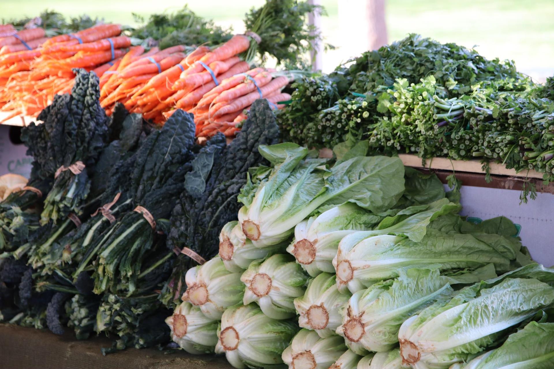 piles of fresh vegetables