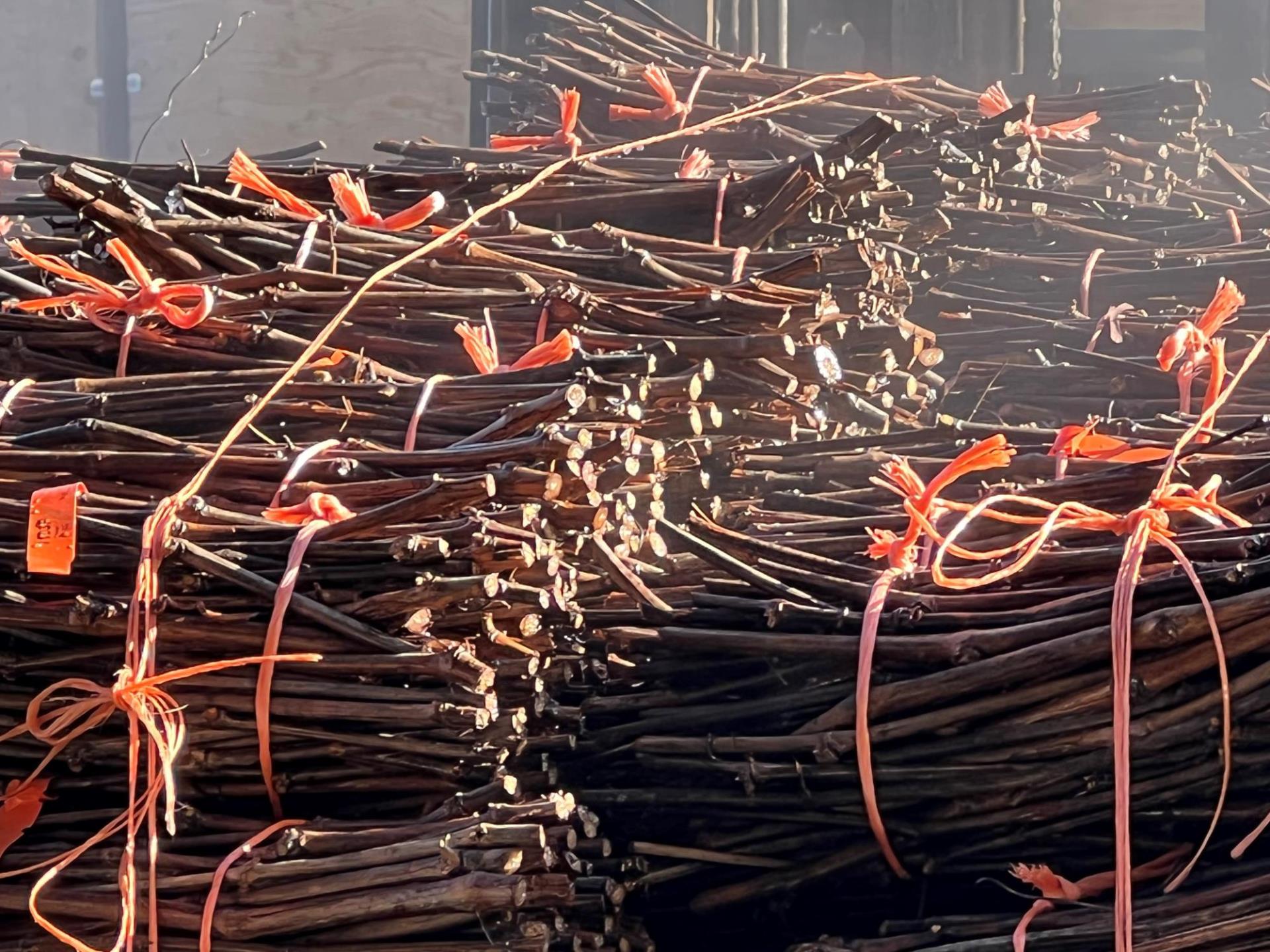 stacks of bundled twigs