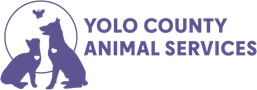 Cat and dog animal service logo