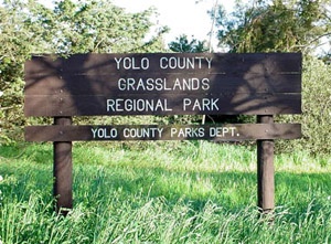 Grasslands-Sign.jpg